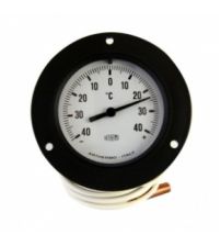 Термометр панельный CPS TM87С100 ø100mm